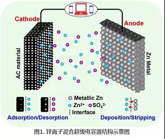 超长寿命的水系锌离子混合超级电容器