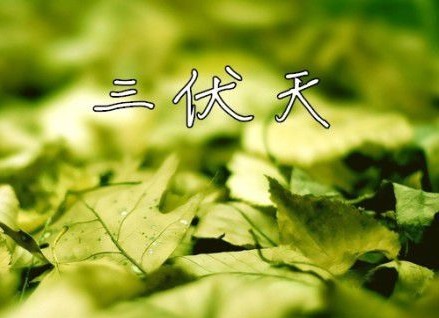 三伏天，這些電池充電技巧你應(yīng)該知道