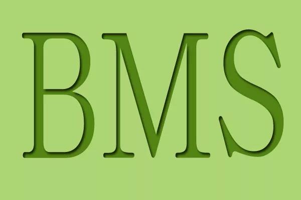 从复杂产品发展路径，看BMS变局