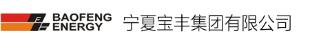 宁夏宝丰集团有限公司