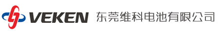 东莞维科电池有限公司