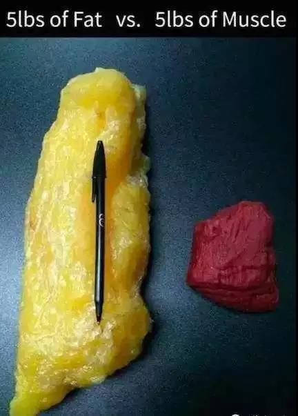 关于电池能量密度的那些事